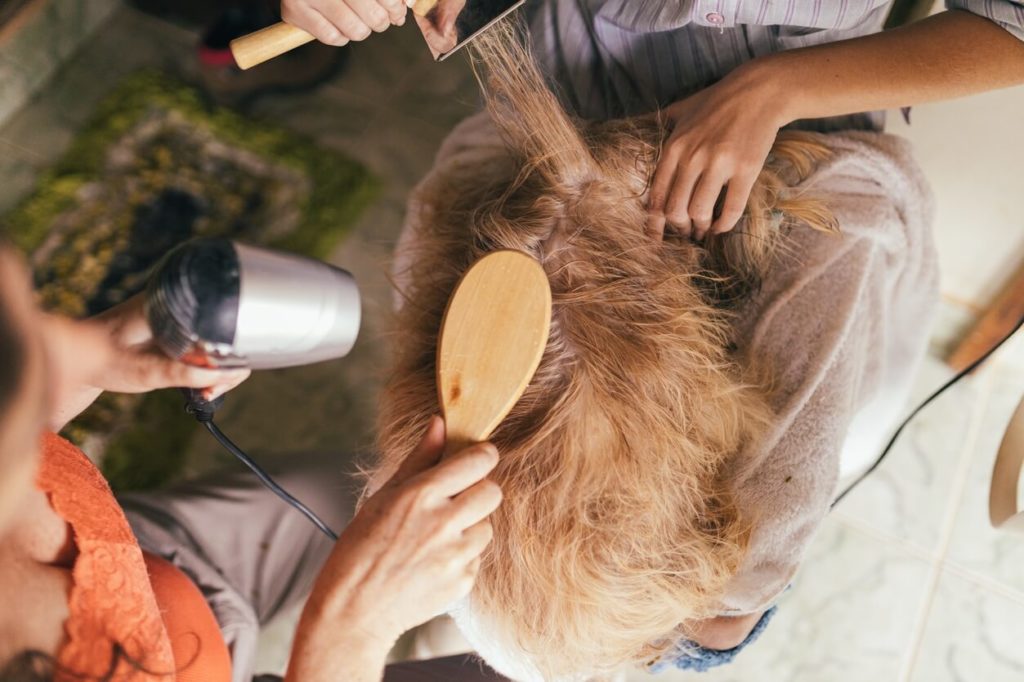 preparacion pelo perros
