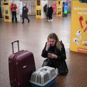 viajando con mascotas en medio de guerra de Ucrania y Rusia